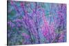 Redbud River Abstract-Vincent James-Stretched Canvas