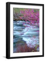 Redbud Riverside-Vincent James-Framed Premium Photographic Print