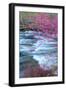 Redbud Riverside-Vincent James-Framed Premium Photographic Print