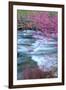 Redbud Riverside-Vincent James-Framed Premium Photographic Print