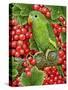 Redcurrant-Parakeet, 1995-Ditz-Stretched Canvas