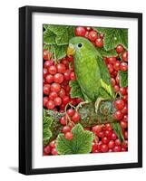 Redcurrant-Parakeet, 1995-Ditz-Framed Giclee Print