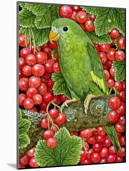 Redcurrant-Parakeet, 1995-Ditz-Mounted Giclee Print