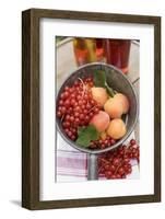 Redcurrants and Apricots in Pan in Front of Bottles of Juice-Eising Studio - Food Photo and Video-Framed Photographic Print