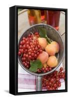 Redcurrants and Apricots in Pan in Front of Bottles of Juice-Eising Studio - Food Photo and Video-Framed Stretched Canvas
