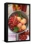 Redcurrants and Apricots in Pan in Front of Bottles of Juice-Eising Studio - Food Photo and Video-Framed Stretched Canvas