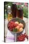Redcurrants and Apricots in Pan in Front of Bottles of Juice-Eising Studio - Food Photo and Video-Stretched Canvas