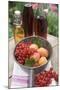 Redcurrants and Apricots in Pan in Front of Bottles of Juice-Eising Studio - Food Photo and Video-Mounted Photographic Print