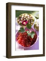 Redcurrants and Gooseberries on a Table in the Open Air-Eising Studio - Food Photo and Video-Framed Photographic Print