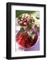 Redcurrants and Gooseberries on a Table in the Open Air-Eising Studio - Food Photo and Video-Framed Photographic Print