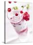 Redcurrants Falling into a Layered Yogurt Dessert-Daniel Reiter-Stretched Canvas