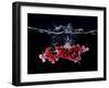 Redcurrants Falling into Water-Hermann Mock-Framed Photographic Print