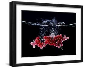 Redcurrants Falling into Water-Hermann Mock-Framed Photographic Print