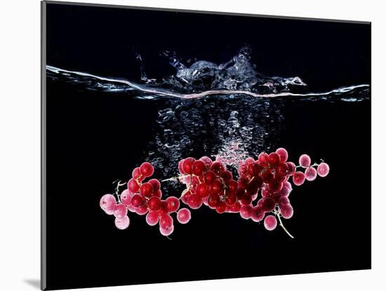 Redcurrants Falling into Water-Hermann Mock-Mounted Photographic Print