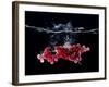 Redcurrants Falling into Water-Hermann Mock-Framed Photographic Print