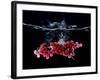 Redcurrants Falling into Water-Hermann Mock-Framed Photographic Print