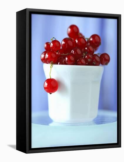 Redcurrants in a Small Pot-Franck Bichon-Framed Stretched Canvas