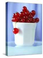 Redcurrants in a Small Pot-Franck Bichon-Stretched Canvas