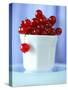 Redcurrants in a Small Pot-Franck Bichon-Stretched Canvas