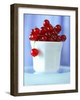 Redcurrants in a Small Pot-Franck Bichon-Framed Photographic Print