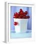 Redcurrants in a Small Pot-Franck Bichon-Framed Photographic Print