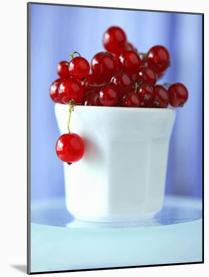 Redcurrants in a Small Pot-Franck Bichon-Mounted Photographic Print