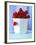 Redcurrants in a Small Pot-Franck Bichon-Framed Photographic Print