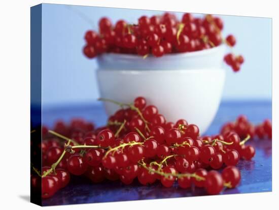 Redcurrants, in and Beside Bowl-Dagmar Morath-Stretched Canvas