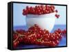 Redcurrants, in and Beside Bowl-Dagmar Morath-Framed Stretched Canvas