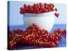 Redcurrants, in and Beside Bowl-Dagmar Morath-Stretched Canvas