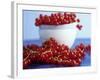 Redcurrants, in and Beside Bowl-Dagmar Morath-Framed Photographic Print