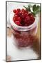 Redcurrants in Jam Jar, Sugar Beside It-Eising Studio - Food Photo and Video-Mounted Photographic Print