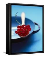 Redcurrants on Spoon-Jessica Shaver-Framed Stretched Canvas