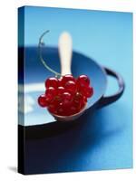 Redcurrants on Spoon-Jessica Shaver-Stretched Canvas