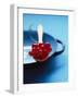 Redcurrants on Spoon-Jessica Shaver-Framed Photographic Print