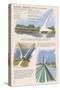 Redding, California - Sundial Bridge-Lantern Press-Stretched Canvas