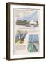 Redding, California - Sundial Bridge-Lantern Press-Framed Art Print