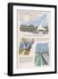 Redding, California - Sundial Bridge-Lantern Press-Framed Art Print