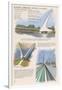 Redding, California - Sundial Bridge-Lantern Press-Framed Art Print