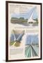 Redding, California - Sundial Bridge-Lantern Press-Framed Art Print