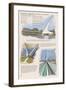 Redding, California - Sundial Bridge-Lantern Press-Framed Art Print