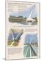 Redding, California - Sundial Bridge-Lantern Press-Mounted Art Print