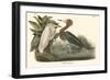 Reddish Egret-John James Audubon-Framed Art Print