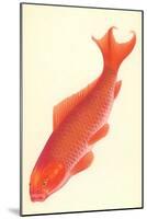 Reddish Orange Koi-null-Mounted Art Print