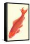 Reddish Orange Koi-null-Framed Stretched Canvas