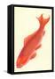 Reddish Orange Koi-null-Framed Stretched Canvas