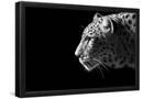 Essential Black