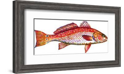 Redfish-T.J. Heiser-Framed Art Print