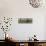 Redgum Forest-Wayne Bradbury-Stretched Canvas displayed on a wall