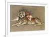 Redhead and Tiger-null-Framed Premium Giclee Print